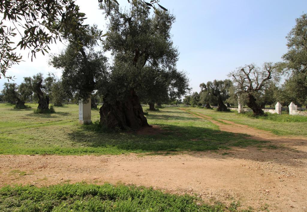 Masseria Brancati Hotel Остуни Екстериор снимка